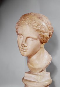 マートルのヴィーナス、ギリシャ語の原文のローマのコピー（大理石）